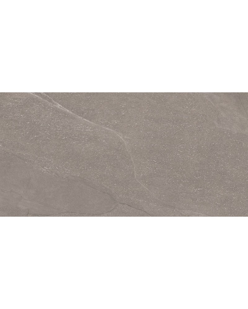 Aley Grey Matt Glazed Stoneware 60x120 Grade 1