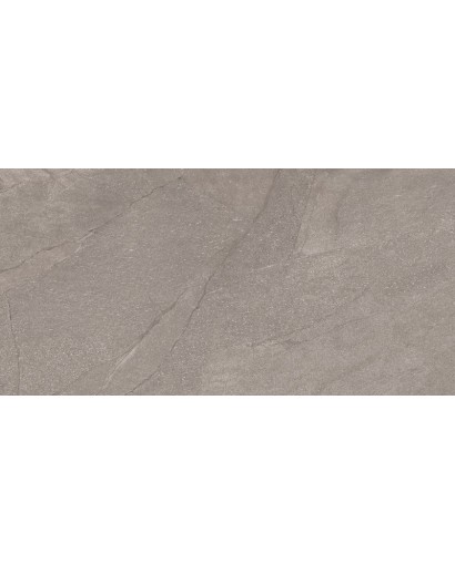 Aley Grey Matt Glazed Stoneware 60x120 Grade 1