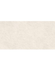 Gres szkliwiony Jackstone Moca Color Body Punch 60x120 – Gat.1