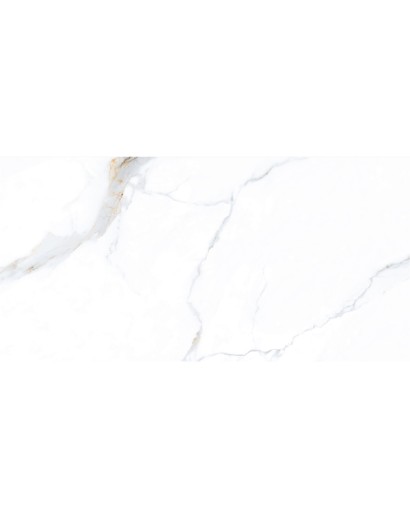 Roscoe White lappato glazūruotas akmens masės dirbinys 60x120 cm, 1 klasė
