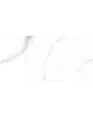 Roscoe White lappato glazūruotas akmens masės dirbinys 60x120 cm, 1 klasė