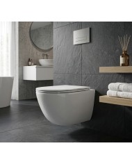 Wand WC Monobowl 3.0