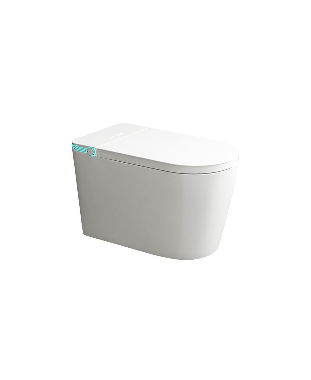 Vas WC pe pardoseală Aurelia cu capac Smart
